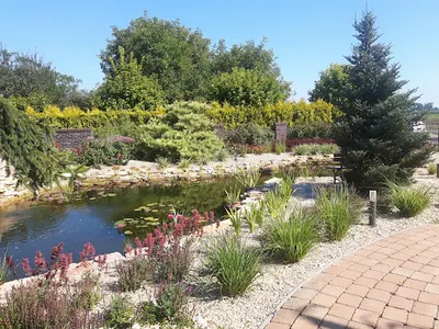 🌳🌲🍀 Trawnika Fabryka - zakładanie trawników z rolki, automatyczne nawadnianie Rzeszów, podkarpackie. 🌳🌲🍀